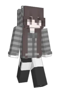 V08A Minecraft avatar full body