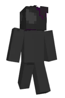 V0IDBORN3 Minecraft avatar full body
