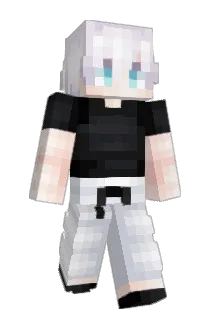 V0LUME Minecraft avatar full body