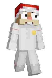 V4NN1E Minecraft avatar full body