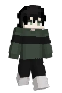 V4han1 Minecraft avatar full body