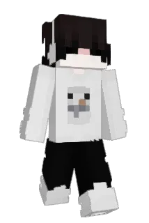 VAA2 Minecraft avatar full body