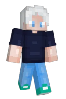 VADDER70 Minecraft avatar full body