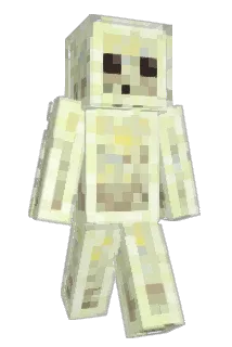 VAN7SH Minecraft avatar full body