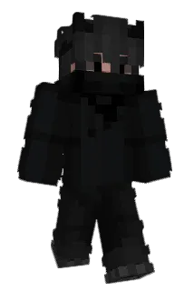 VDIS Minecraft avatar full body