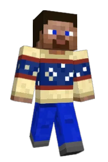 VHS_Tape_ Minecraft avatar full body