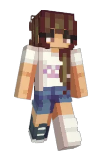 VIACOLLEANTICO Minecraft avatar full body