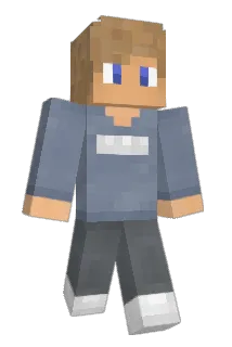 VICEHD Minecraft avatar full body