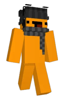VIIBars Minecraft avatar full body