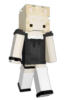 VIK2600 Minecraft avatar full body