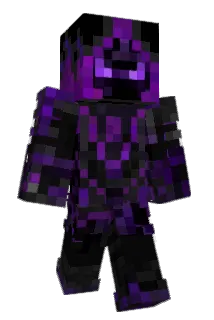 VINICUS22 Minecraft avatar full body