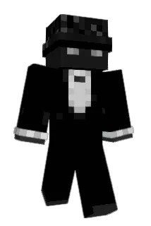 VISION3009 Minecraft avatar full body