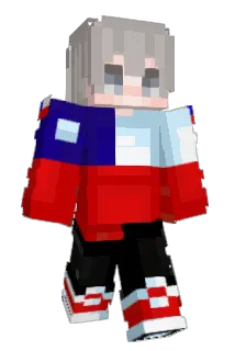 VITE_CL Minecraft avatar full body