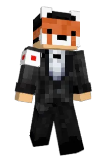 VLLORE70 Minecraft avatar full body