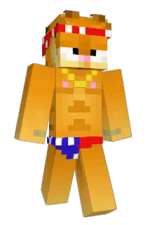 VNEVETS Minecraft avatar full body