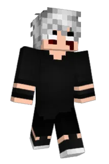 VN_____ Minecraft avatar full body