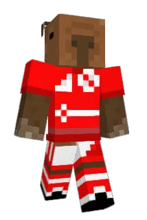 VOIDzzsa Minecraft avatar full body