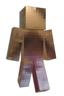 VONKMEMES Minecraft avatar full body