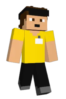 VRIO1007 Minecraft avatar full body