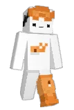 VS07_ Minecraft avatar full body