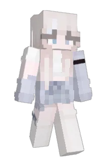 VSFox05 Minecraft avatar full body