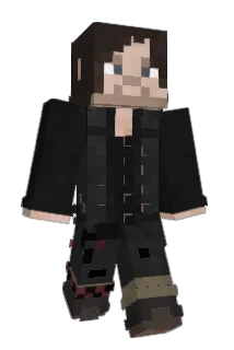 VST_PAX Minecraft avatar full body