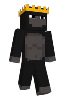 VUXI0_0 Minecraft avatar full body