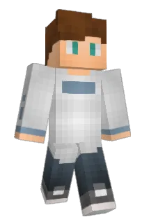 VWPolo Minecraft avatar full body