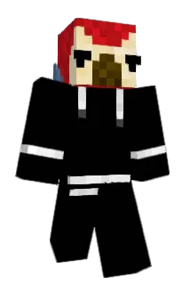 VYLI Minecraft avatar full body