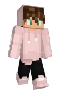 VZViela Minecraft avatar full body