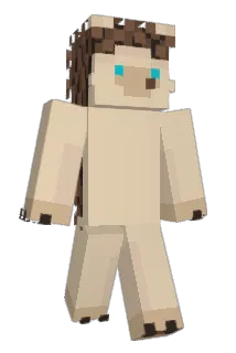VZavatsky Minecraft avatar full body