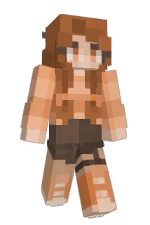 VZsG Minecraft avatar full body