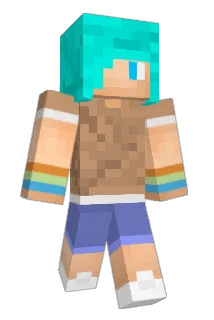 V_1i Minecraft avatar full body