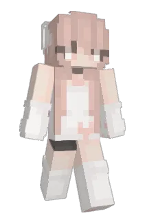 V_3 Minecraft avatar full body
