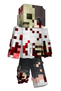 Va11e Minecraft avatar full body