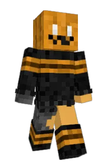 VacatedHen Minecraft avatar full body