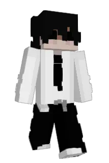 VacuumSealer Minecraft avatar full body