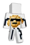 Vaidor Minecraft avatar full body