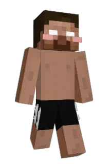 VailingSpace153 Minecraft avatar full body