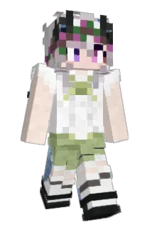 Vaindinth Minecraft avatar full body