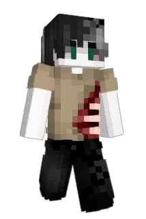 Vainoe Minecraft avatar full body