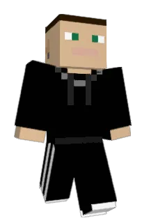 Vainpokeman Minecraft avatar full body