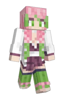 Vakko55 Minecraft avatar full body