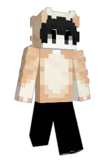 Valdosta Minecraft avatar full body