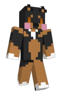 Valerak Minecraft avatar full body