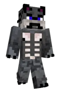 ValouchBG Minecraft avatar full body