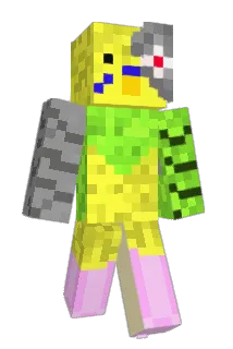 Van904 Minecraft avatar full body