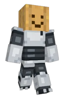VanMcMillin Minecraft avatar full body