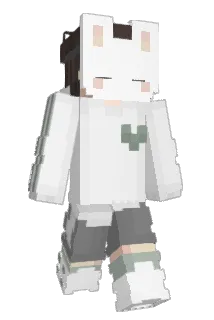 Vancouver1 Minecraft avatar full body