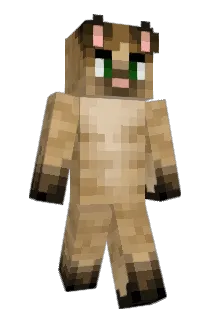 Vandercat Minecraft avatar full body
